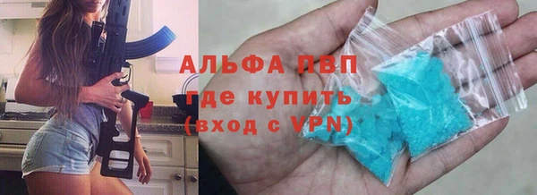 ПСИЛОЦИБИНОВЫЕ ГРИБЫ Горно-Алтайск