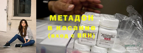 ПСИЛОЦИБИНОВЫЕ ГРИБЫ Горно-Алтайск