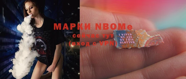 ПСИЛОЦИБИНОВЫЕ ГРИБЫ Горно-Алтайск