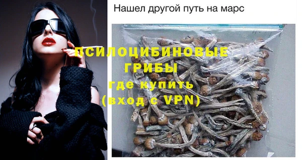 ПСИЛОЦИБИНОВЫЕ ГРИБЫ Горно-Алтайск