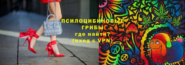 ПСИЛОЦИБИНОВЫЕ ГРИБЫ Горно-Алтайск