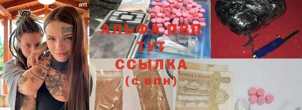 ПСИЛОЦИБИНОВЫЕ ГРИБЫ Горно-Алтайск