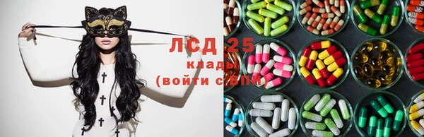 ПСИЛОЦИБИНОВЫЕ ГРИБЫ Горно-Алтайск