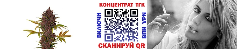 Купить где  Нефтекумск  Дистиллят ТГК гашишное масло 