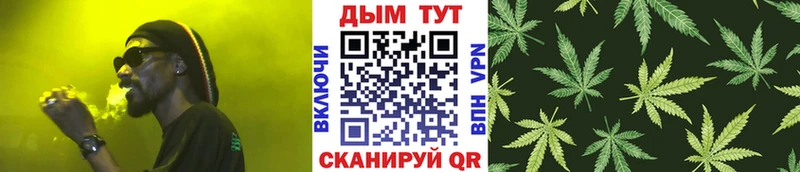 Купить  Нефтекумск  Бошки Шишки ГИДРОПОН 